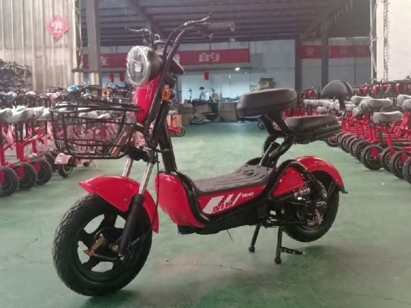 Электроскутер Ekobike Start SK Электроскутер Ekobike Start SK